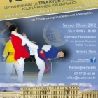 13me championnat de taekkyon (1er en france)